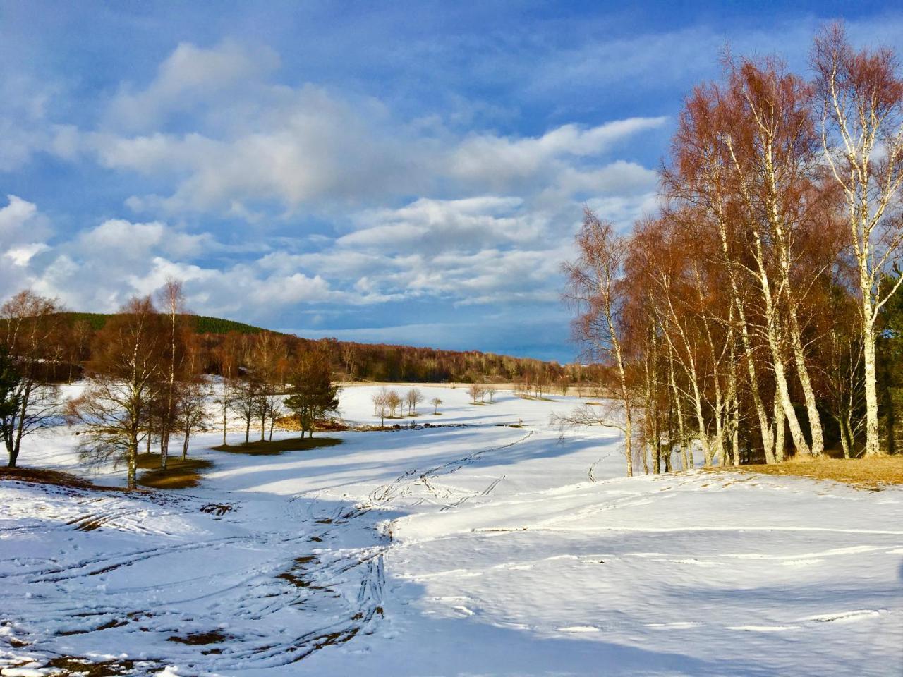 Dalrachney Lodge Карбридже Экстерьер фото